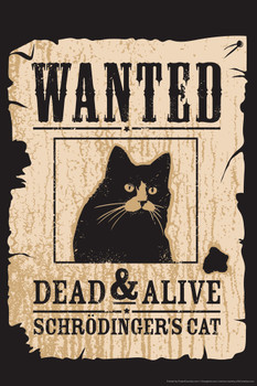 Wanted Dead And Alive Schrodingers Cat Funny Humor Paradox Cat Poster Funny Wall Posters Kitten Posters for Wall Funny Cat Poster Inspirational Cat Poster Cool Wall Art Print Poster 12x18