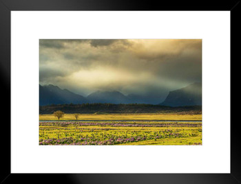 Landscape View Near Lake Tekapo New Zealand Photo Matted Framed Art Print Wall Decor 26x20 inch
