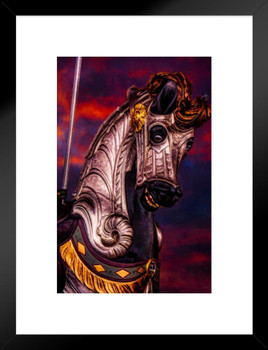 Sir Carousel Horse by Chris Lord Photo Photograph Poster Horse Pictures Wall Decor Horse Poster Print Horse Carnival Poster Horse Picture Wall Art Merry Go Round Matted Framed Art Wall Decor 20x26