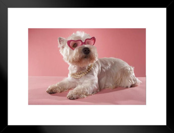 Cute Fashionable West Highland Terrier Wearing Necklace and Glasses Photo Matted Framed Art Print Wall Decor 26x20 inch