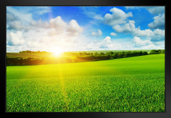 Farm Wheat Field Sunrise Bright Blue Sky Landscape Photo Matted Framed Art Print Wall Decor 26x20 inch