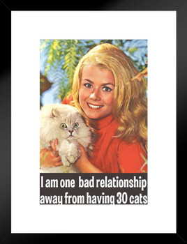 I Am One Bad Relationship Away From Having 30 Cats Humor Matted Framed Art Wall Decor 26x20