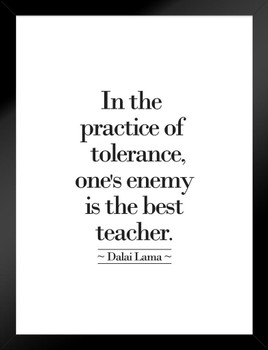 Dalai Lama In The Practice Of Tolerance Ones Enemy Is The Best Teacher Quote Motivational Matted Framed Art Print Wall Decor 20x26 inch