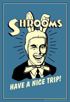 Shrooms! Have A Nice Trip! Vintage Style Retro Humor Cool Wall Decor Art Print Poster 12x18