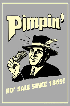 Pimpin! Hoes Since 1869! Retro Humor Cool Wall Decor Art Print Poster 12x18