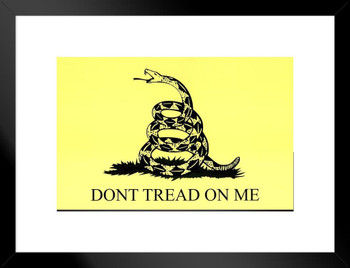 Gadsden Flag Historical Dont Tread On Me Rattlesnake Coiled Ready To Strike Yellow Matted Framed Art Print Wall Decor 20x26 inch