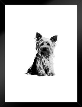 Yorkshire Terrier Painting Black White Puppy Posters For Wall Dog Wall Art Dog Wall Decor Puppy Posters For Kids Bedroom Animal Wall Poster Cute Animal Posters Matted Framed Art Wall Decor 20x26
