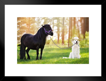 Dog Wearing Cowboy Hat Holding Horse on Leash Funny Photo Matted Framed Art Print Wall Decor 26x20 inch