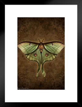 Steampunk Luna Moth by Brigid Ashwood Butterfly Wall Decor Insect Wall Art of Moths and Butterflies Illustrations Matted Framed Art Wall Decor 20x26