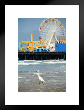 Egret Steping into the Sea Santa Monica Beach Pier Los Angeles Photo Matted Framed Art Print Wall Decor 20x26 inch