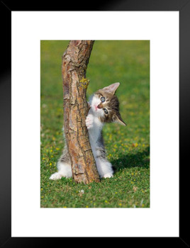 Portrait of Kitten Hiding Behind Tree Photo Baby Animal Portrait Photo Cat Poster Cute Wall Posters Kitten Posters for Wall Baby Poster Inspirational Cat Poster Matted Framed Art Wall Decor 26x20