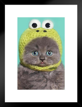 Funny Gray Kitten in Green Frog Hat Photo Baby Animal Portrait Photo Cat Poster Cute Wall Posters Kitten Posters for Wall Baby Poster Inspirational Cat Poster Matted Framed Art Wall Decor 20x26