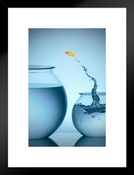 Goldfish Jumping From Small Bowl Into Big Bowl Photo Art Print Matted Framed Wall Art 20x26 inch
