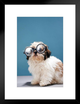 Puppy Wearing Thick Glasses Photo Puppy Posters For Wall Funny Dog Wall Art Dog Wall Decor Puppy Posters For Kids Bedroom Animal Wall Poster Cute Animal Posters Matted Framed Art Wall Decor 20x26