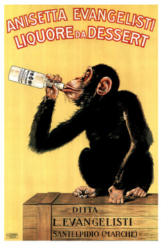 Anisetta Evangelisti Liquore Da Dessert by Carlo Biscaretti 1925 Vintage Alcohol Liquor Bottle Italian Advertising Drinking Monkey Chimpanzee Cool Wall Decor Art Print Poster 12x18