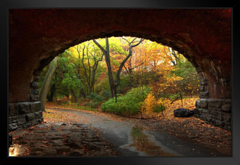 Through the Tunnel Autumn in Central Park NYC Photo Matted Framed Art Print Wall Decor 26x20 inch