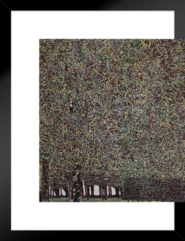 Gustav Klimt The Park Art Nouveau Prints and Posters Gustav Klimt Canvas Wall Art Fine Art Wall Decor Nature Landscape Abstract Symbolist Painting Mosaic Matted Framed Art Wall Decor 20x26