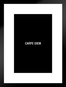 Carpe Diem Simple Matted Framed Art Wall Decor 20x26