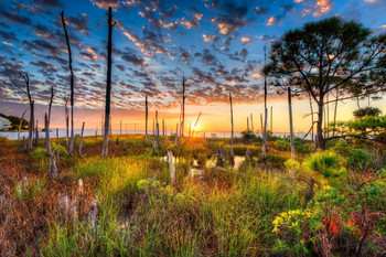 Laminated Sunrise Over Shalimar Florida Photo Art Print Poster Dry Erase Sign 18x12