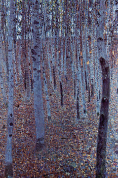 Gustav Klimt Beech Forest I Austrian Symbolist Painter Painting Art Print Laminated Dry Erase Sign Poster 12x18