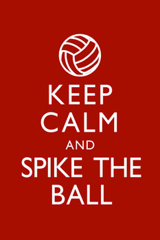 Laminated Keep Calm Spike The Ball Red Volleyball Poster Dry Erase Sign 12x18