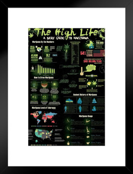 The High Life Pot Smoking College Matted Framed Poster 20x26 inch
