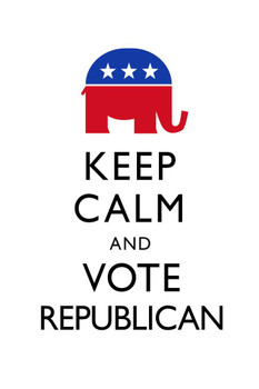 Keep Calm and Vote Republican White Cool Wall Decor Art Print Poster 24x36