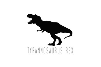 Dinosaur Tyrannosaurus Rex White Dinosaur Poster For Kids Room Dino Pictures Bedroom Dinosaur Decor Dinosaur Pictures For Wall Dinosaur Wall Art Prints for Walls Cool Wall Art Print Poster 36x24
