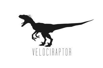 Dinosaur Velociraptor White Dinosaur Poster For Kids Room Dino Pictures Bedroom Dinosaur Decor Dinosaur Pictures For Wall Dinosaur Wall Art Prints for Walls Cool Wall Art Print Poster 36x24