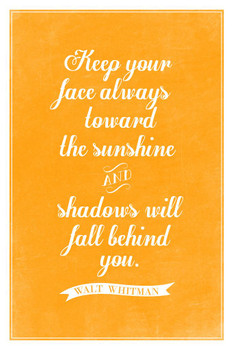 Walt Whitman Keep Your Face Always Toward the Sunshine Orange Cool Wall Art Print Poster 24x36