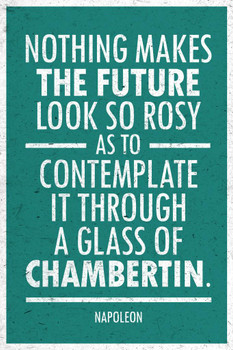Napoleon Bonaparte Nothing Makes The Future Look So Rosy Green Cool Wall Art Print Poster 24x36