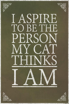 Laminated I Aspire To Be The Person My Cat Thinks I Am Brown Poster Dry Erase Sign 12x18