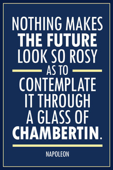 Laminated Napoleon Bonaparte Nothing Makes The Future Look So Rosy Blue Poster Dry Erase Sign 12x18