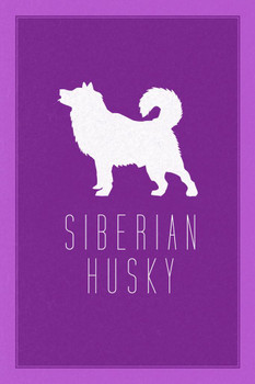 Laminated Dogs Siberian Husky Violet Dog Posters For Wall Funny Dog Wall Art Dog Wall Decor Dog Posters For Kids Bedroom Animal Wall Poster Cute Animal Posters Poster Dry Erase Sign 12x18