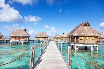 Bora Bora Overwater Bungalows in the Lagoon Photo Photograph Beach Sunset Palm Landscape Pictures Ocean Scenic Scenery Tropical Nature Photography Paradise Laminated Dry Erase Wall Poster 18x12