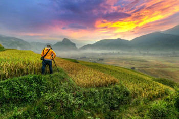 Laminated Rice Terraces at Sunrise Tu le Yenbai Vietnam Photo Art Print Poster Dry Erase Sign 18x12