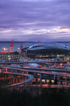 Laminated CenturyLink Field Seattle Washington Skyline Photo Photograph Poster Dry Erase Sign 12x18