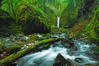 Laminated Mossy Grotto Falls Columbia River Gorge Oregon Photo Art Print Poster Dry Erase Sign 18x12