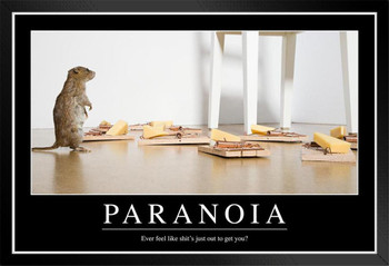Paranoia Funny Demotivational Black Wood Framed Art Poster 14x20