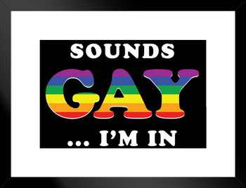 Sounds Gay Im In Funny Matted Framed Art Print Wall Decor 20x26 inch