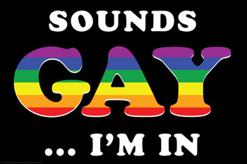 Laminated Sounds Gay Im In Funny Poster Dry Erase Sign 12x18