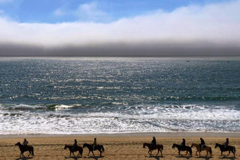 Laminated Horseback Rider Beach Half Moon Bay California Landscape Photo Poster Dry Erase Sign 18x12