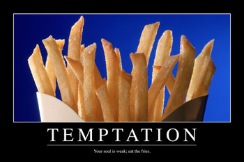 Temptation French Fries Funny Demotivational Cool Wall Decor Art Print Poster 24x36