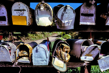 Laminated Rural Mailboxes in Hawaii Photo Art Print Poster Dry Erase Sign 18x12