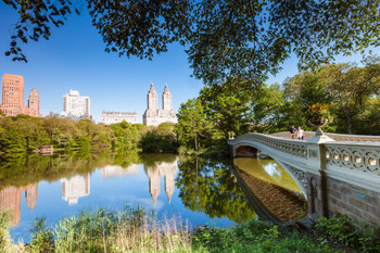 Laminated Bow Bridge in Springtime Central Park New York Photo Art Print Poster Dry Erase Sign 18x12