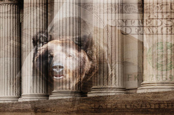 Laminated Bear Money Wall Street Columns 100 Dollar Bill Photo Art Print Poster Dry Erase Sign 18x12