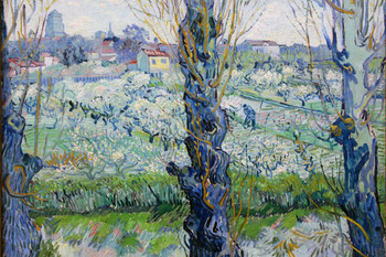 Laminated Vincent Van Gogh View Of Arles Flowering Orchards 1889 Post Impressionist Painting Poster Dry Erase Sign 12x18