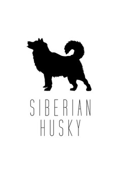 Laminated Dogs Siberian Husky White Dog Posters For Wall Funny Dog Wall Art Dog Wall Decor Dog Posters For Kids Bedroom Animal Wall Poster Cute Animal Posters Poster Dry Erase Sign 12x18