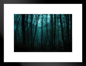 Dramatic Dusk In Fall Forest Woods Dark Trees Photo Matted Framed Wall Art Print 26x20 inch