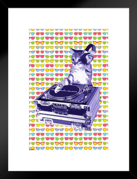 Steez DJ Cat Matted Framed Poster 20x26 inch